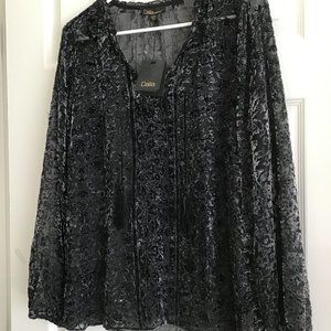 NWT Dalia Sheer Embossed Design Sheen Blouse